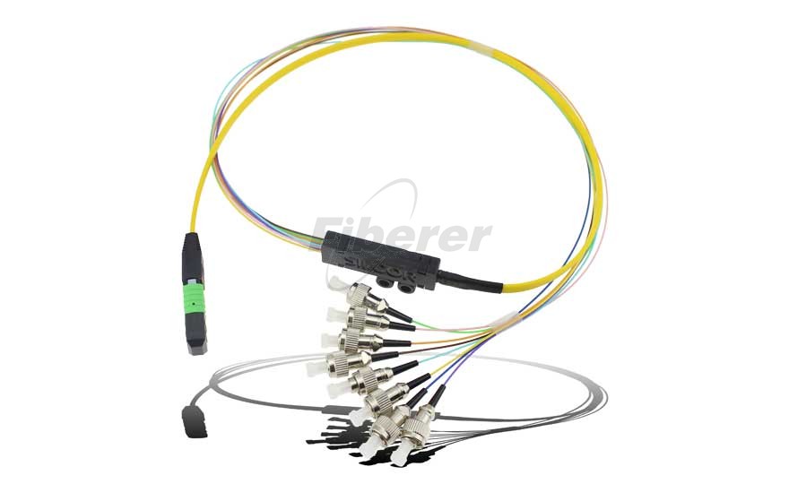 Fiberer MPO/MTP Hydra Cable Assemblies